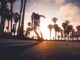 Skateboarder into the Californian daylight